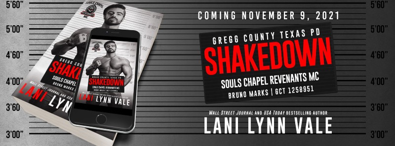 Shakedown by Lani Lynn Vale | Cover Reveal