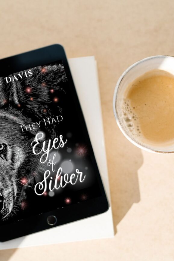 They Had Eyes of Silver by S E Davis - Storied Conversation