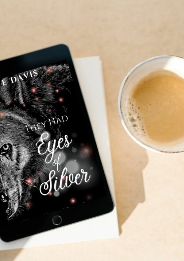 They Had Eyes of Silver by S E Davis - Storied Conversation
